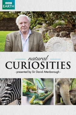 Watch Free David Attenborough's Natural Curiosities Movies HD Online 123Movies To