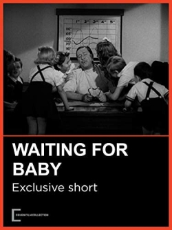 Watch Free Waiting for Baby Movies HD Online 123Movies To