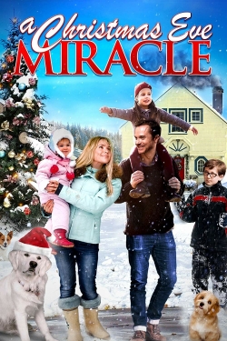 Watch Free A Christmas Eve Miracle Movies HD Online 123Movies To