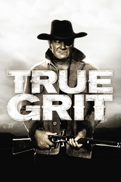 Watch Free True Grit Movies HD Online 123Movies To