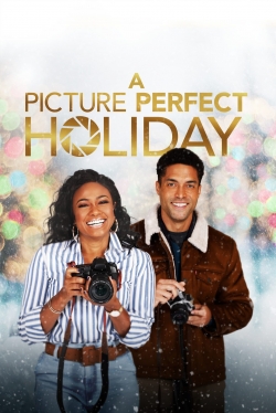 Watch Free A Picture Perfect Holiday Movies HD Online 123Movies To