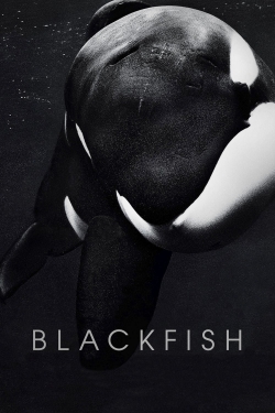 Watch Free Blackfish Movies HD Online 123Movies To