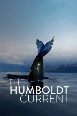 Watch Free The Humboldt Current Movies HD Online 123Movies To